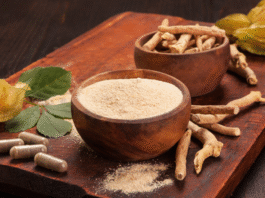 Ayurveda & Traditional Medicine - A Modern Business Opportunity