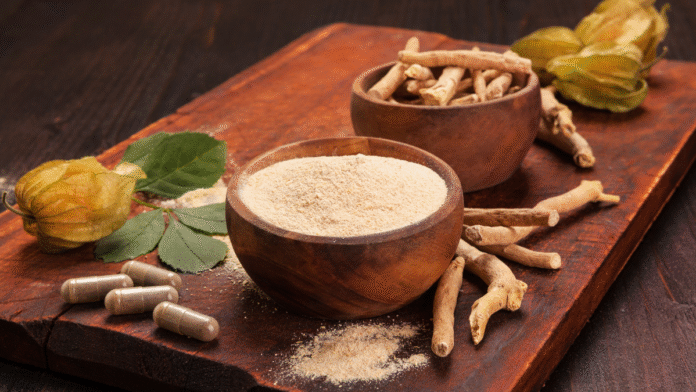 Ayurveda & Traditional Medicine - A Modern Business Opportunity